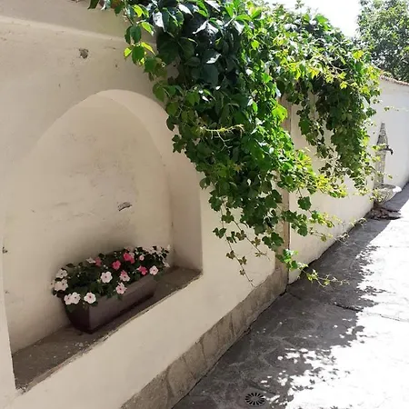 Δωμάτια σε οικογενειακή κατοικία Bleu - синя лю-бо-в Sinemoretz